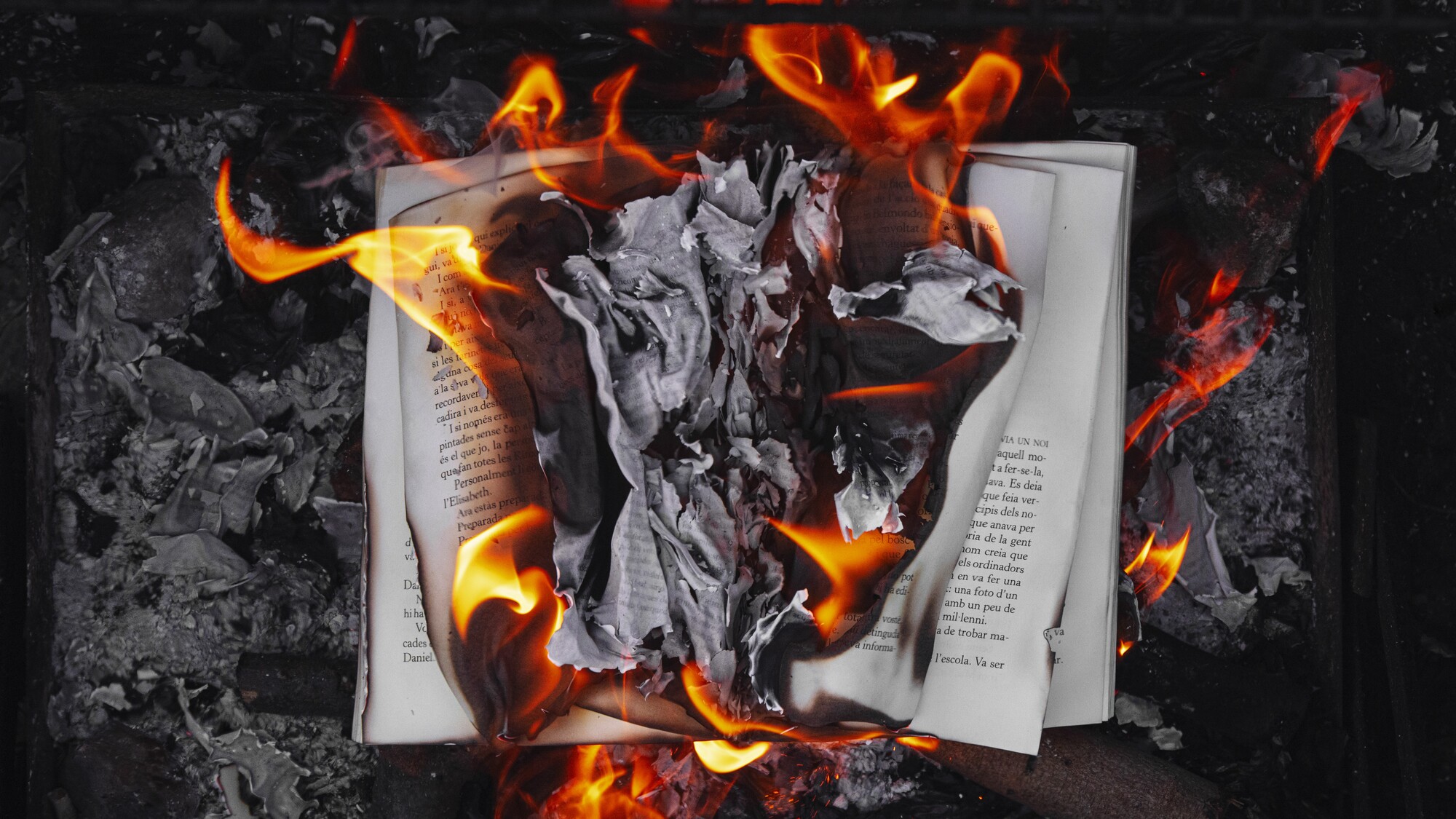 Major Ukrainian Bookstore Chain and Publisher Withdraw from Book Country Festival Following Devastating Russian Attacks