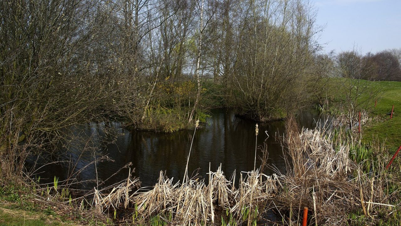 Pond guarding a hole at Antrobus Golf Course