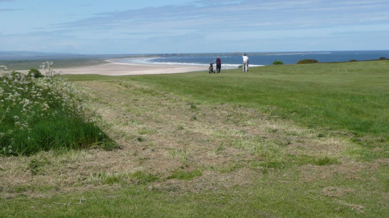 Group of golfers walking down the 12th fairway