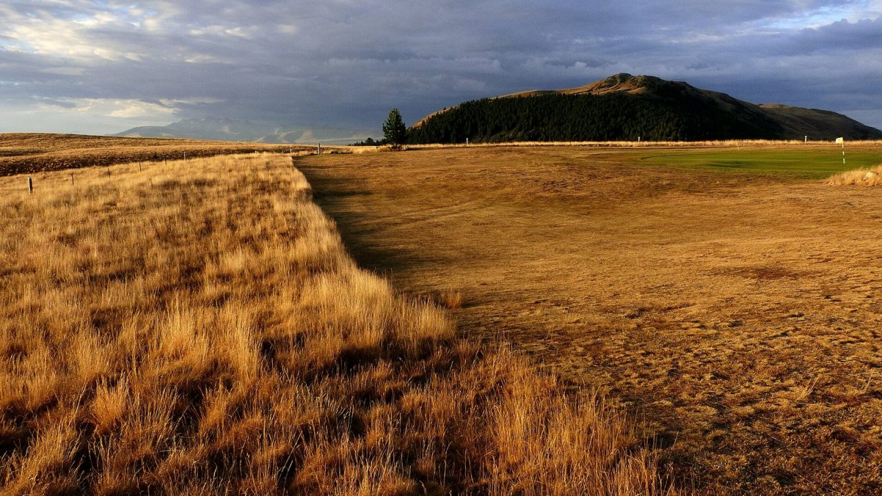 Edge of a golf fairway where it meets longer grass