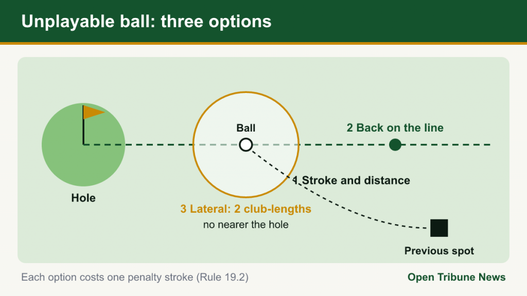 Diagram of unplayable relief: stroke and distance, back on the line, two club-lengths